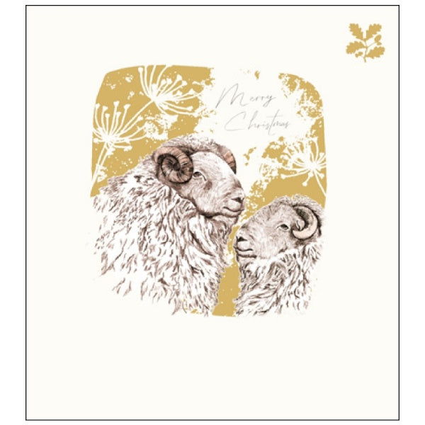 Festive Sheep Charity Pack of 5 Christmas Cards