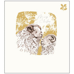Festive Sheep Charity Pack of 5 Christmas Cards