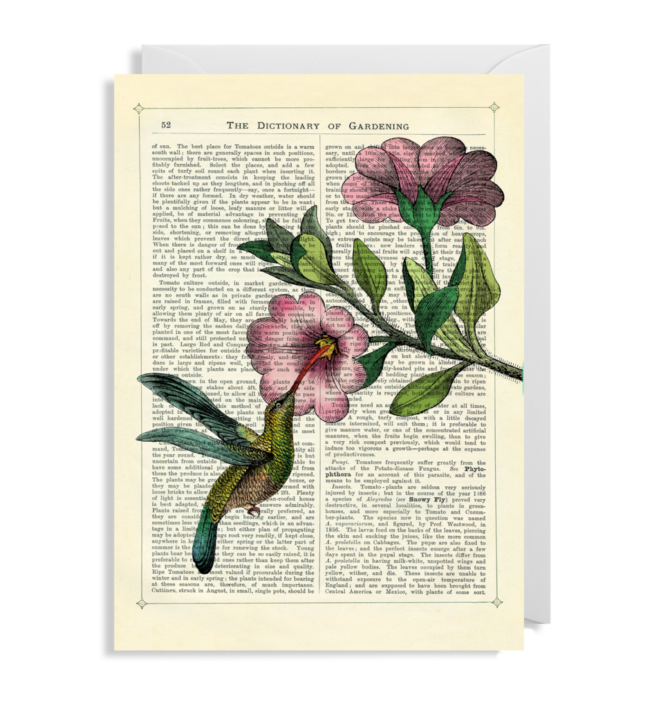 Hummingbird and Flower Card