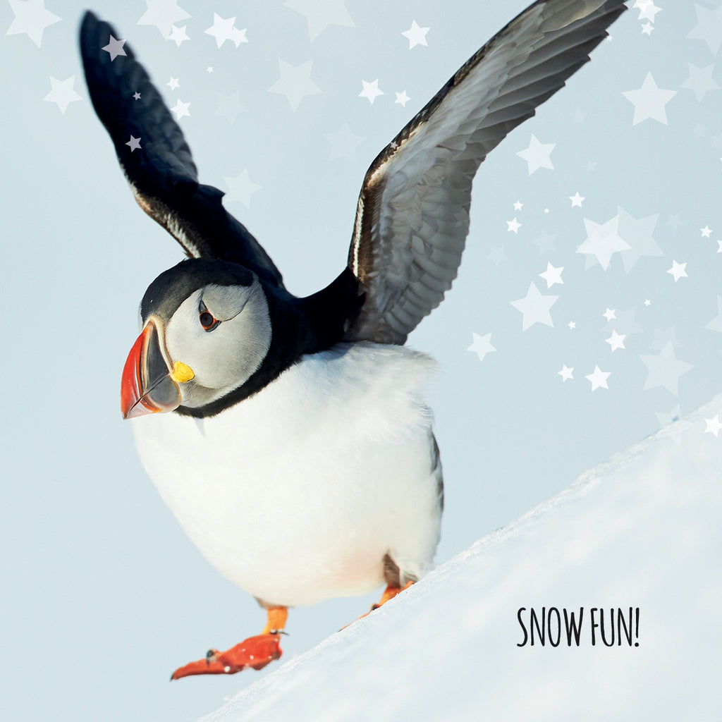Snow Fun RSPB Charity Pack of Christmas Cards