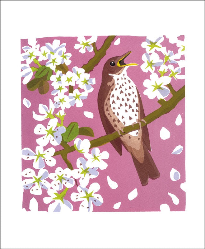 Song Thrush by Carry Akroyd Card