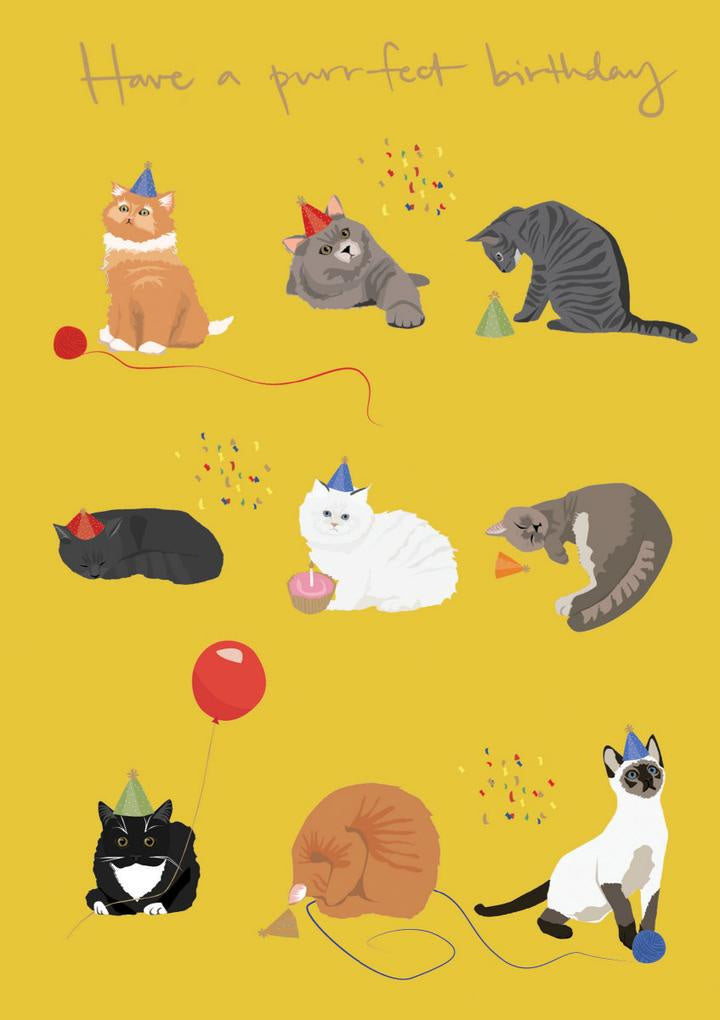 Nine Cats with Hats Birthday Card