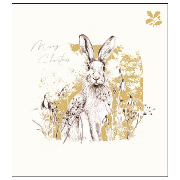 In The Wild Charity Pack of 5 Christmas Cards