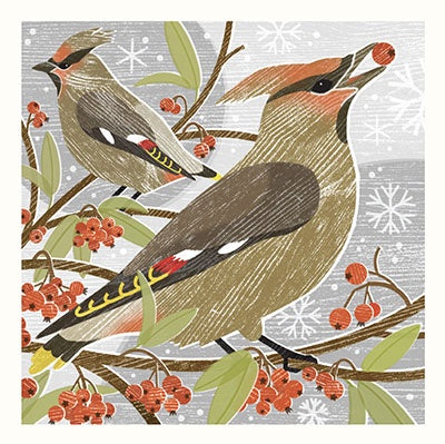Waxwings pack of 5 Christmas Cards