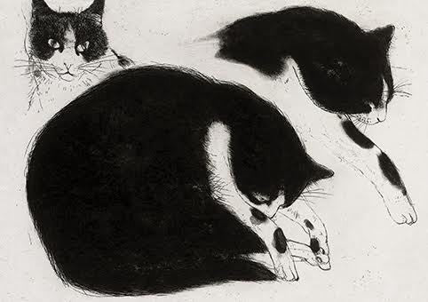 Black and White Cat Card