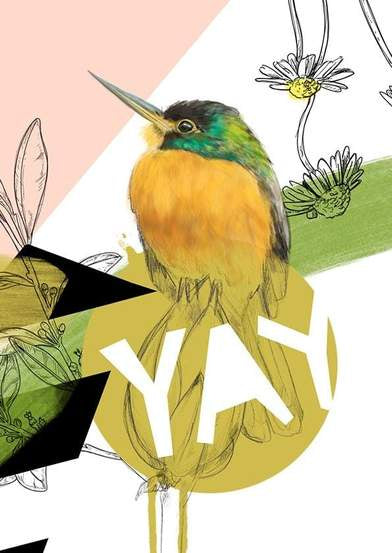 Yay Blue-Cheeked Jacamar