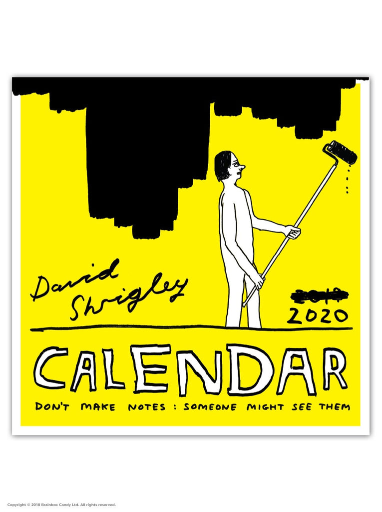 David Shrigley 2020 Calendar Paper Tiger
