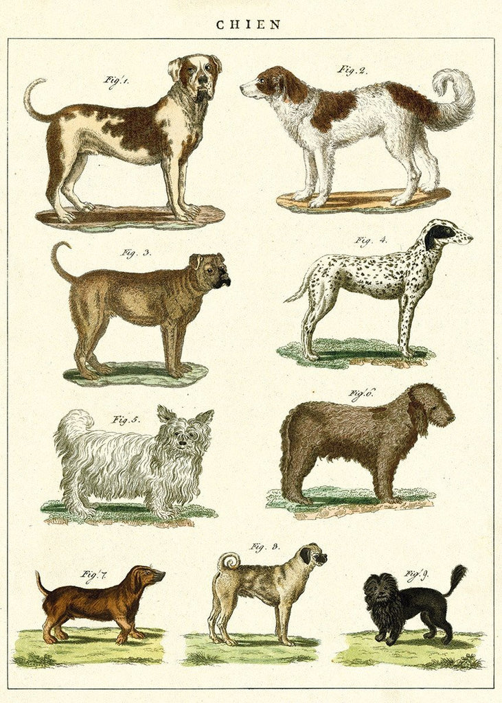 Chien Dog Chart Sheet Wrap