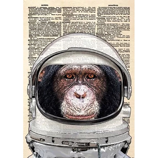 Space Chimp Card