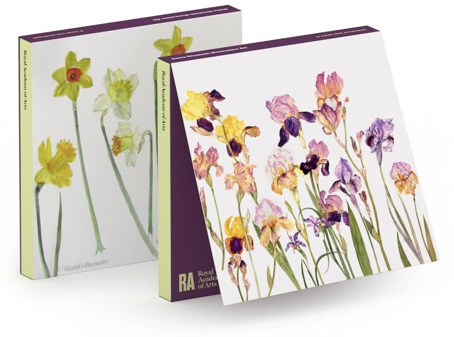 Elizabeth Blackadder Daffodils Notecard Wallet