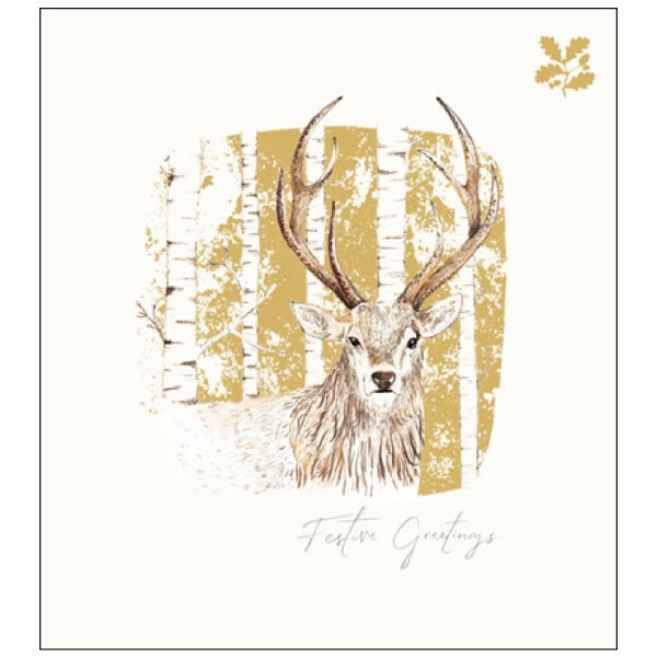 Majestic Stag Charity Pack of 5 Christmas Cards