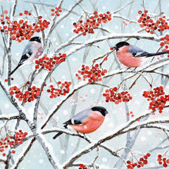 Bullfinches and Berries Charity Card Pack