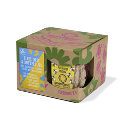Birds, Bees & Butterflies Seedbom Gift Box