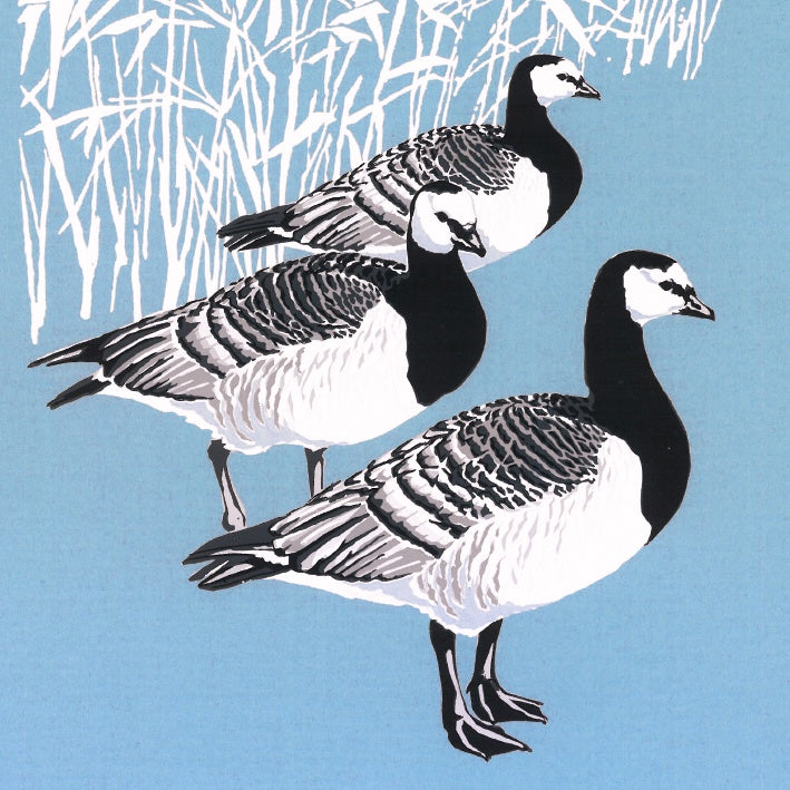 Barnacle Geese Pack of Cards