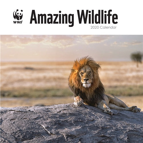 WWF Amazing Wildlife Wall Calendar 2020