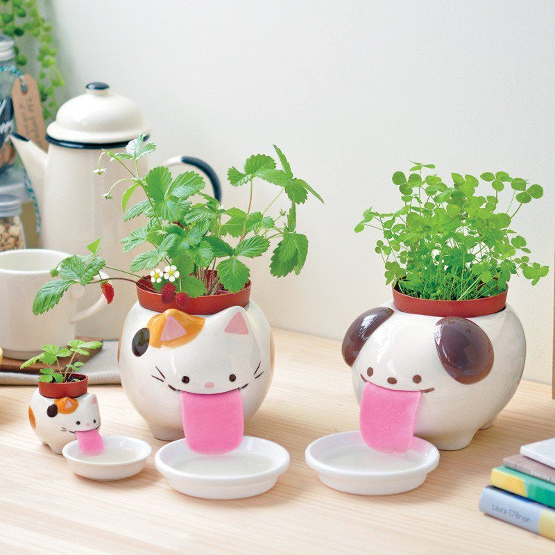 Peropon Papa Garden Cat
