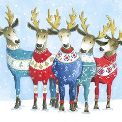 Wooly Jumpers and Reindeers Box of 16 Christmas Cards