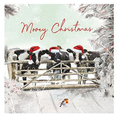 Cattle and Mooey Box of 16 Christmas Cards