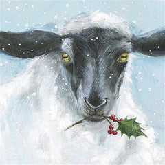 Highland Cow and Sheep Box of 16 Christmas Cards