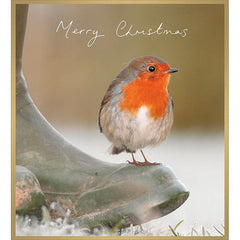Robin on Welly Christmas Card Box