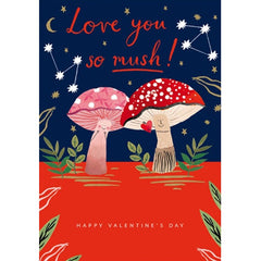 Love You So Mush Valentines Card
