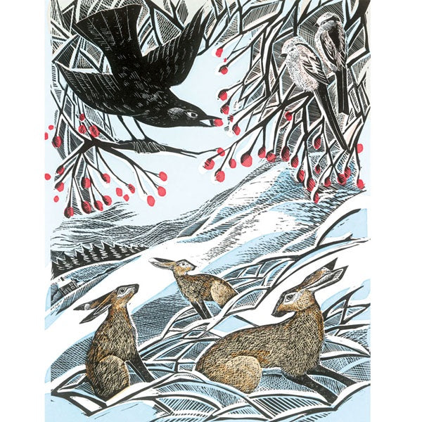 Hares in Conversation Card