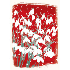 Snowdrops at Christmas Card