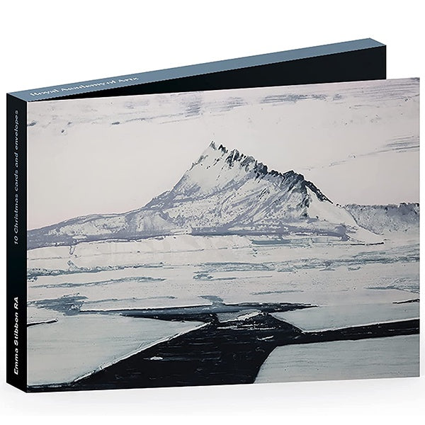 Emma Stibbon Iceberg Pack of 10 Christmas Cards