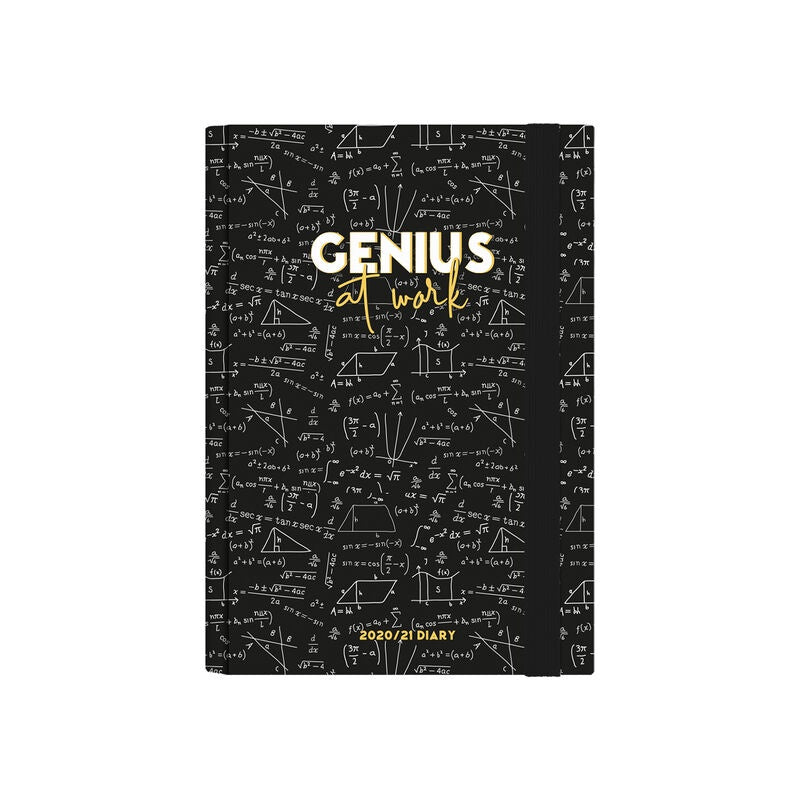Genius At Work 2020/2021 16 Month Diary