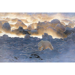 Save The Tiger Home Polar Bear  Christmas Card by Paper Tiger