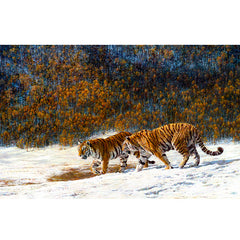 Save The Tiger Haunted Valley Tigers  Christmas Card by Paper Tiger