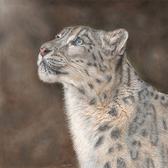 Save The Tiger Mountain Spirit Snow Leopard Christmas Card by Paper Tiger