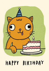 Silly Cat and Birthday Cake