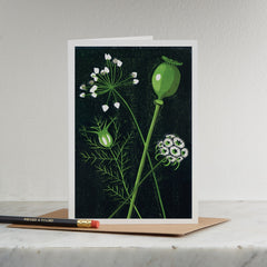 Seed Heads Card