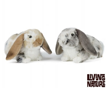 Dutch Lop Eared Rabbit Soft Toy