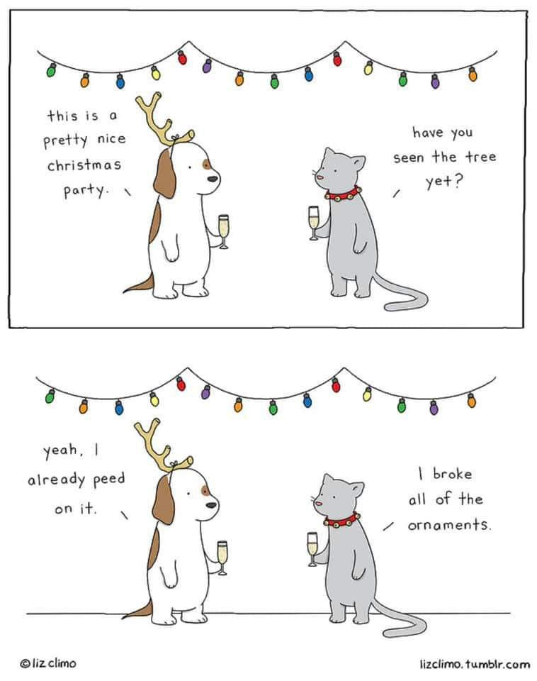 Christmas Party Cat and Dog
