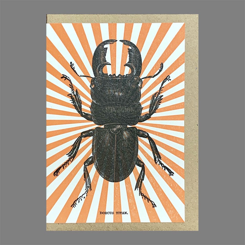 Orange Starburst Stag Beetle Card