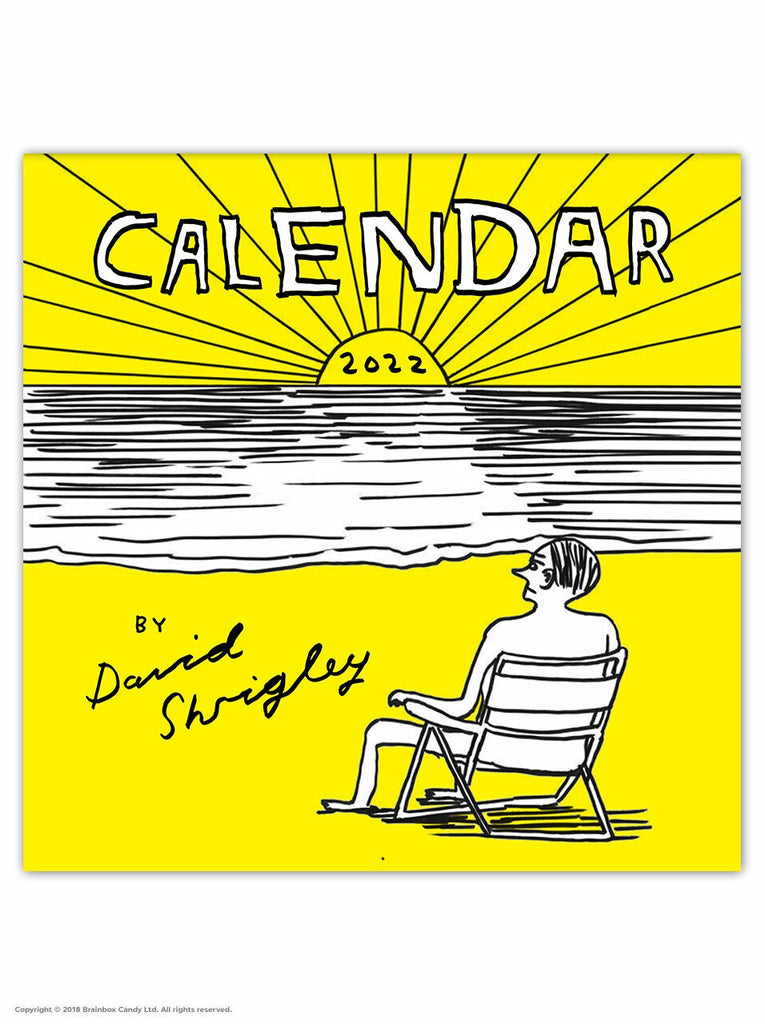 David Shrigley Wall Calendar Bobby Nicoli