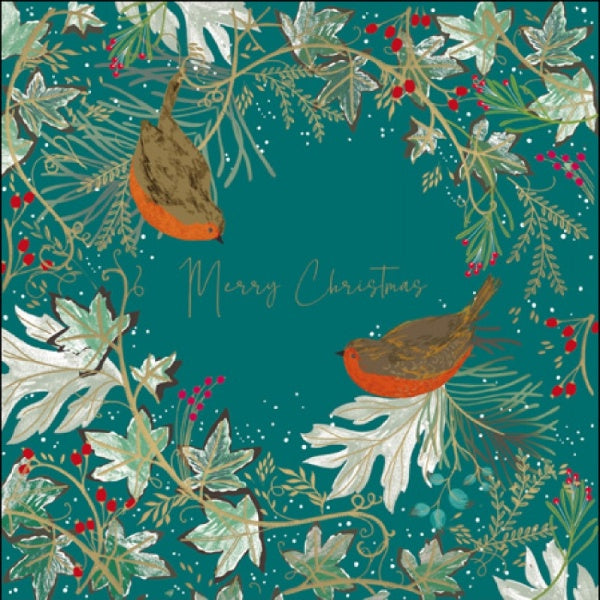Festive Robins National Trust Charity Box of 6 Christmas Cards