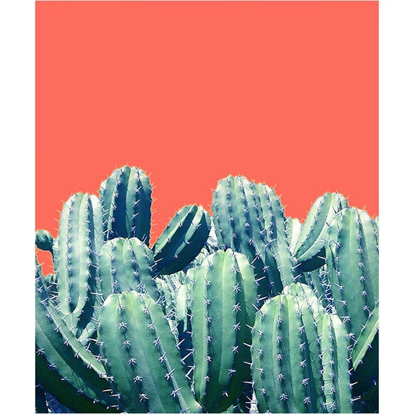 Cactus on Coral Card