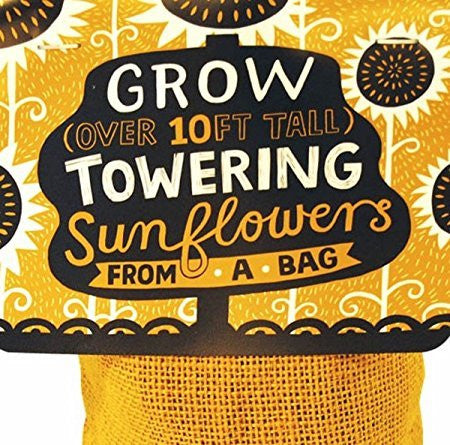 Towering Sunflowers Bag Plant Kit