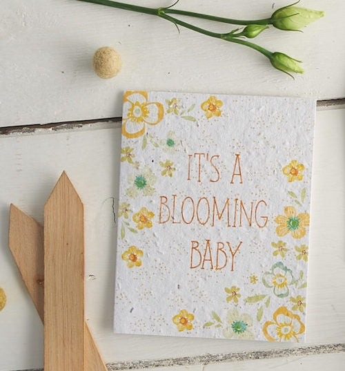 It's A Blooming Baby Seed Card