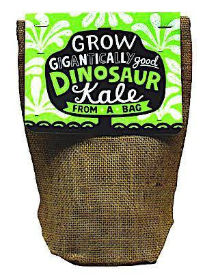 Gigantially Good Dinosaur Kale Bag Plant Kit