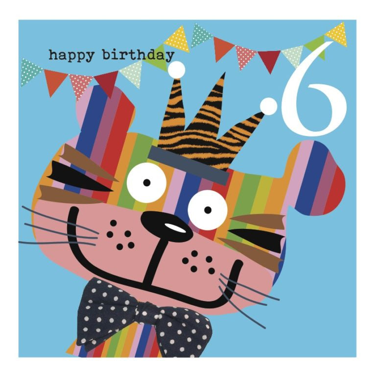 Colourful Cat 6th Birthday Card