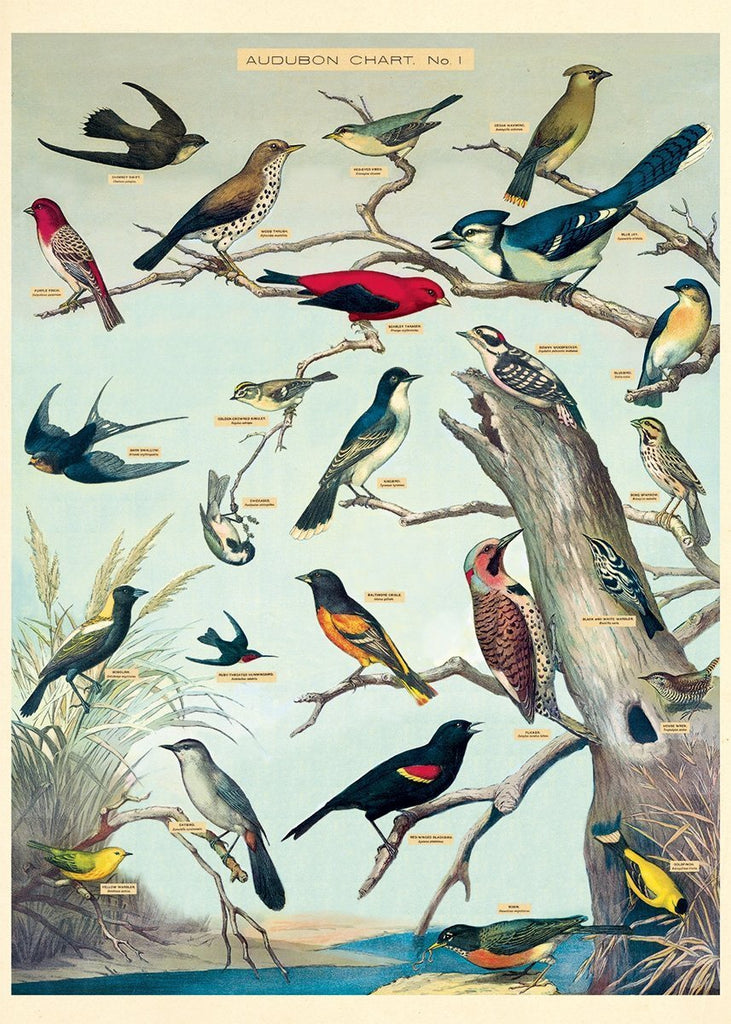 Audubon Bird Sheet Wrap
