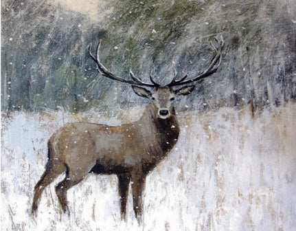 Winter Stag Pack of 5 Christmas Cards