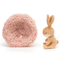 Hibernating Bunny