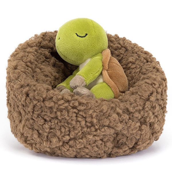 Hibernating Tortoise