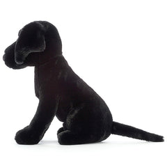 Pippa Black Labrador