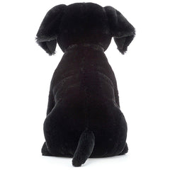 Pippa Black Labrador